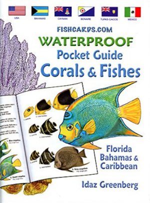 Coral and FIsh Guide